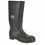 Rain boots  & Waders
